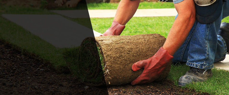 Grand Ledge Landscapers